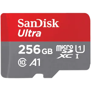256 GB SD Card